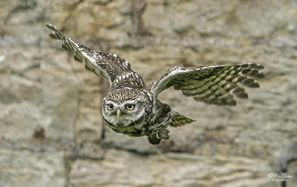  DS28685 Edit Edit resized water